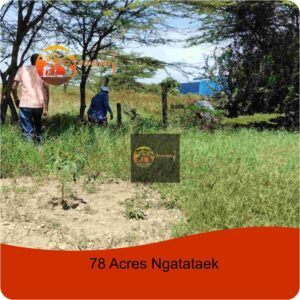 78 Acres Ngatataek