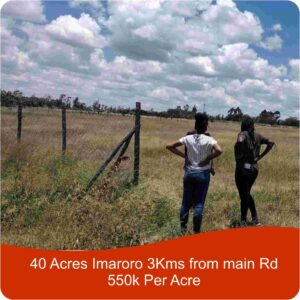40 Acres Imaroro