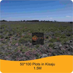 50 x100 Plots Kisaju 1.5M